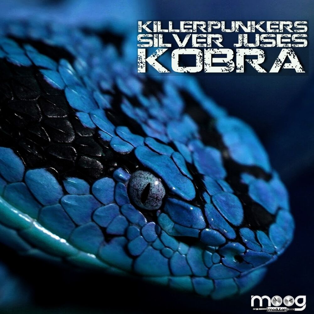 Picture of Kobra