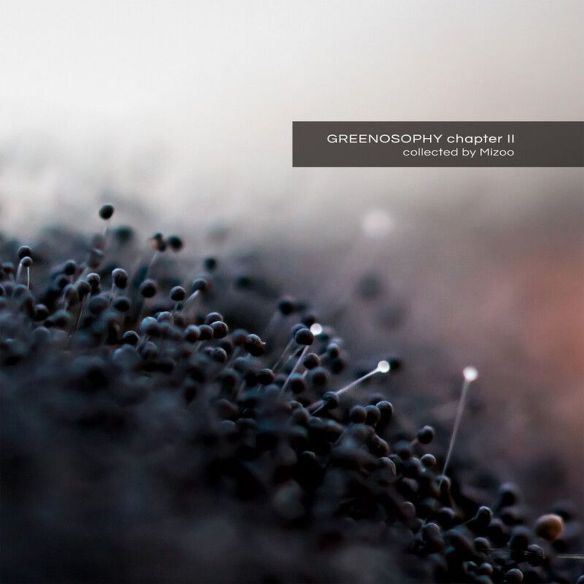 Album cover of Greenosophy, Pt. 2