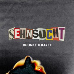 Cover of Sehnsucht