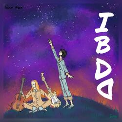 Cover of IBDD