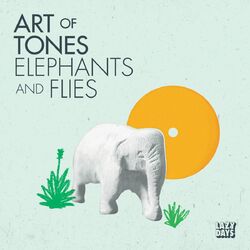Cover of Elephants and Flies