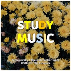 Cover of Study Music