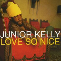 Cover of Love So Nice