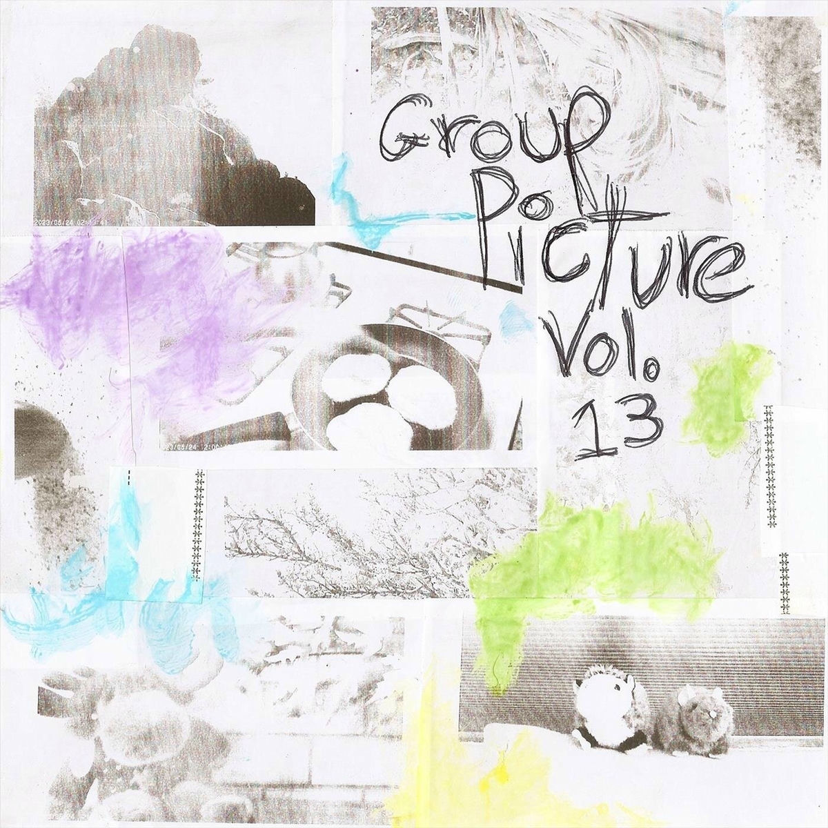 Album cover of Group Picture, Vol. 13
