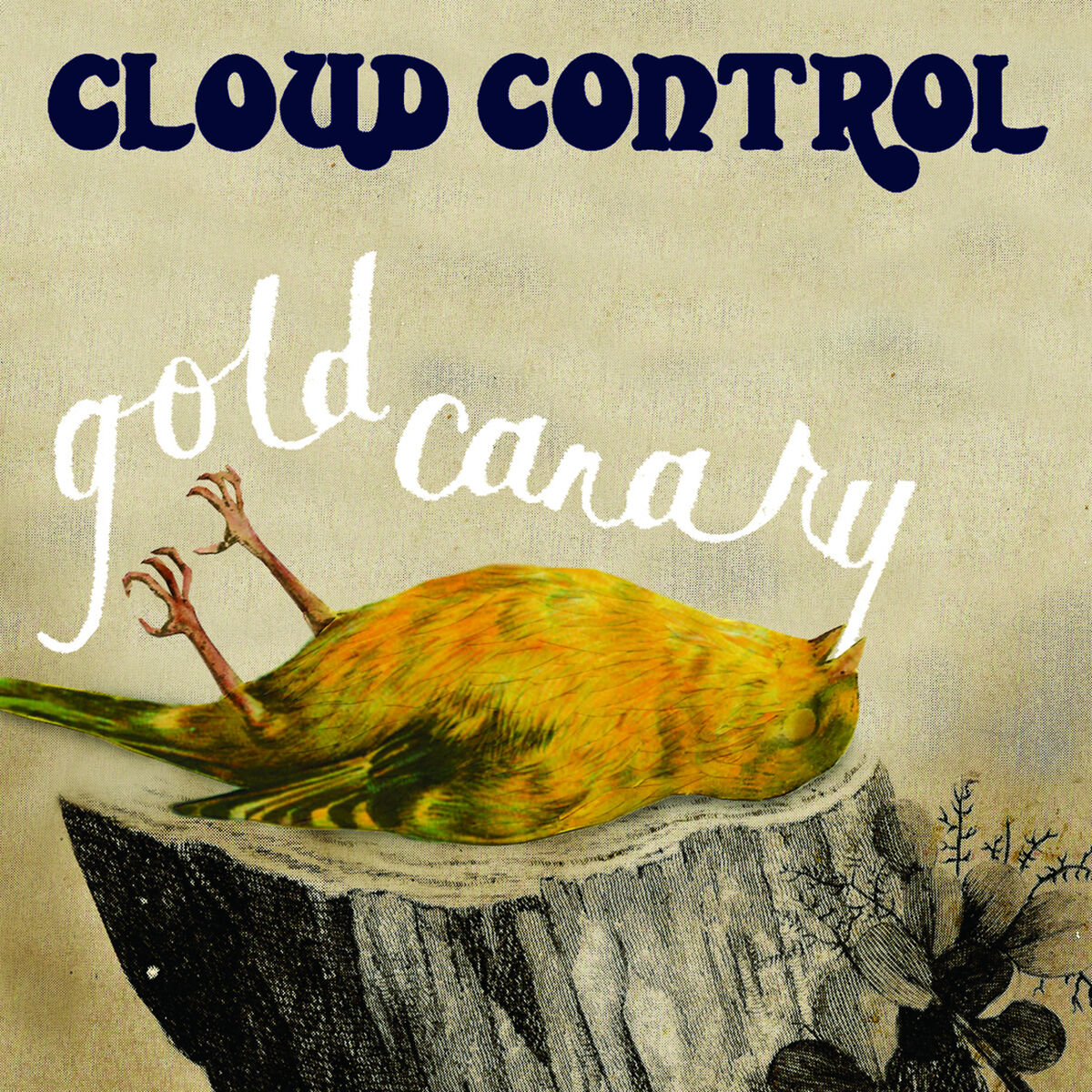 Album cover of Gold Canary