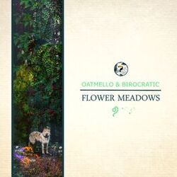 Cover of Flower Meadows