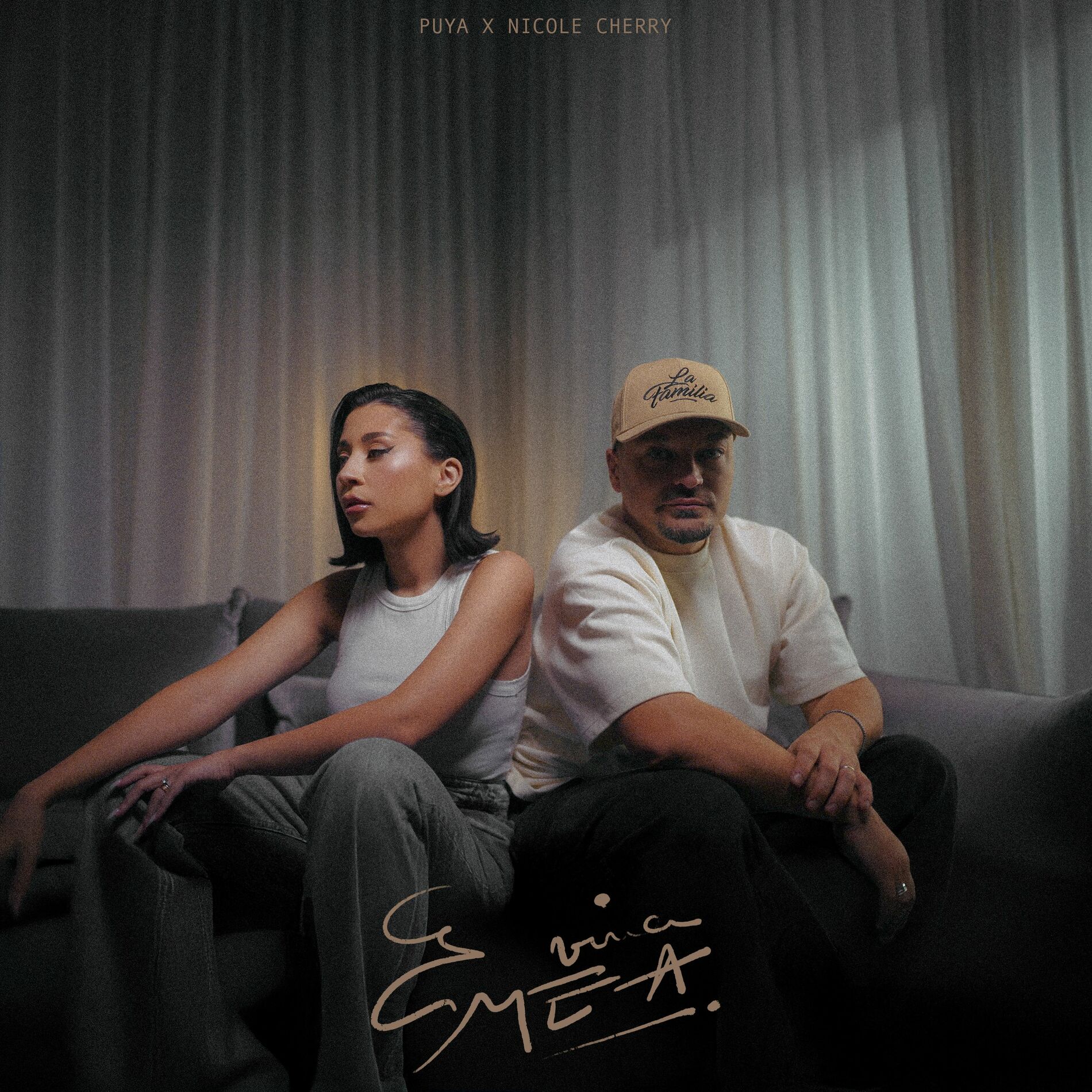 Album cover of E vina mea