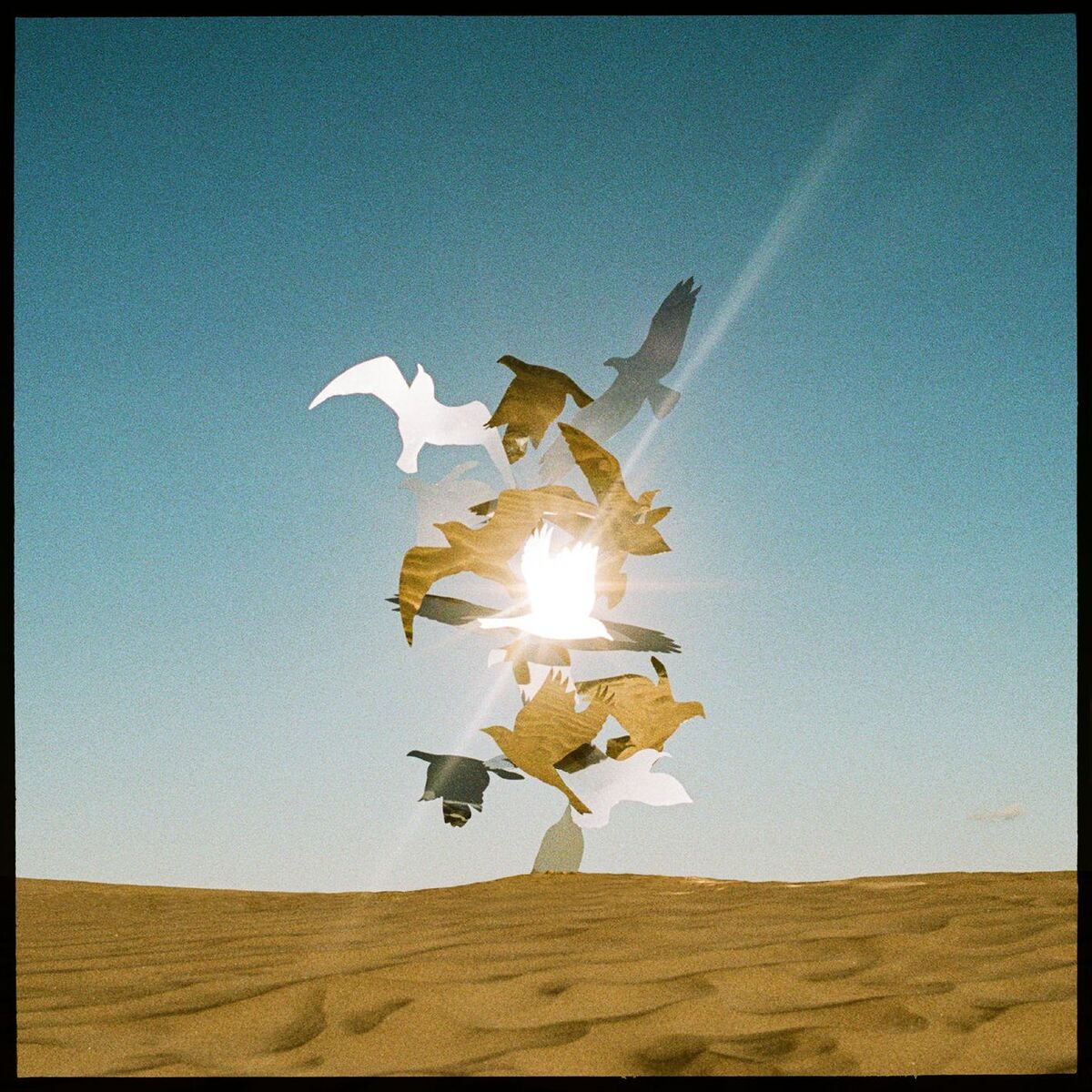 Album cover of Seishunno enbu nag