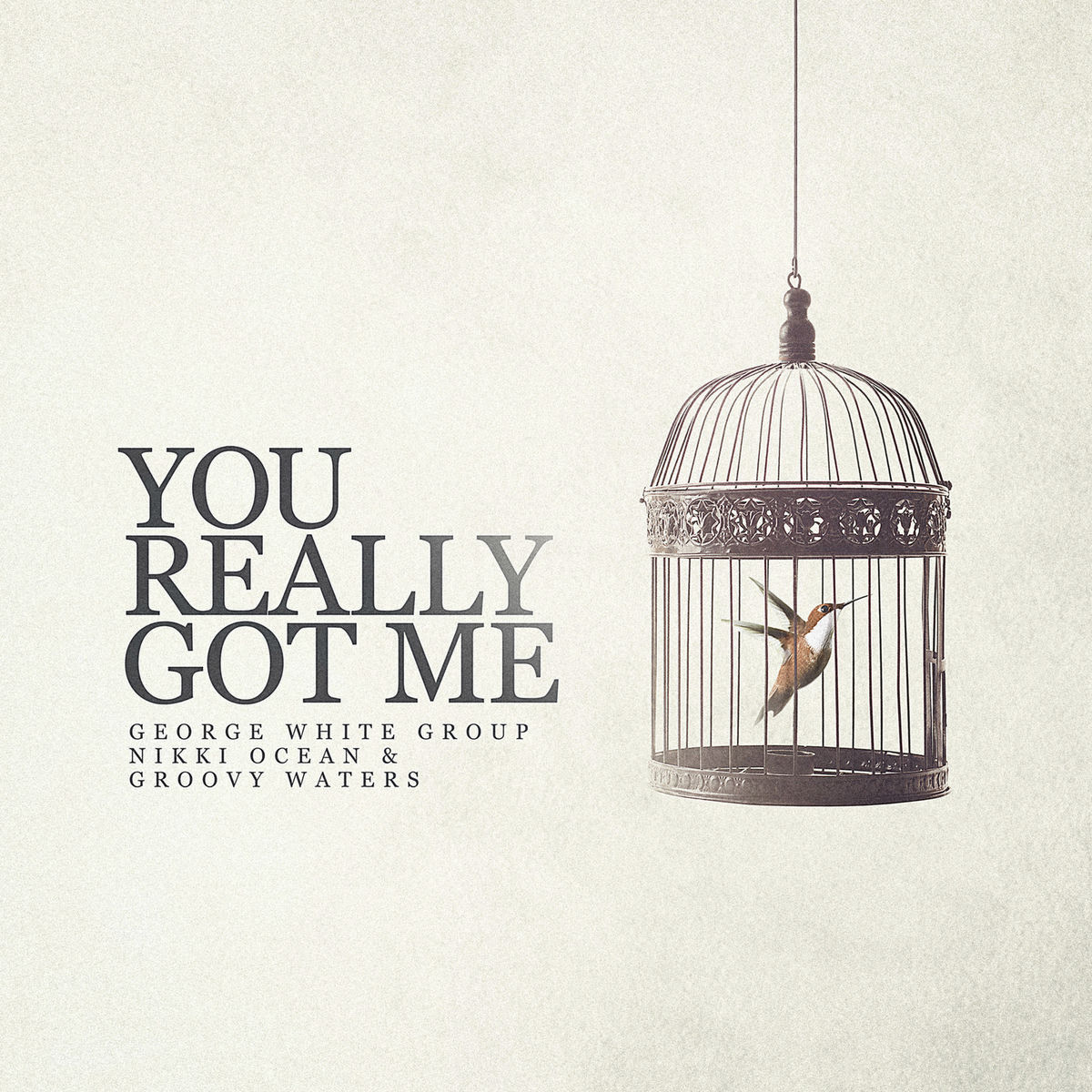 Album cover of You Really Got Me