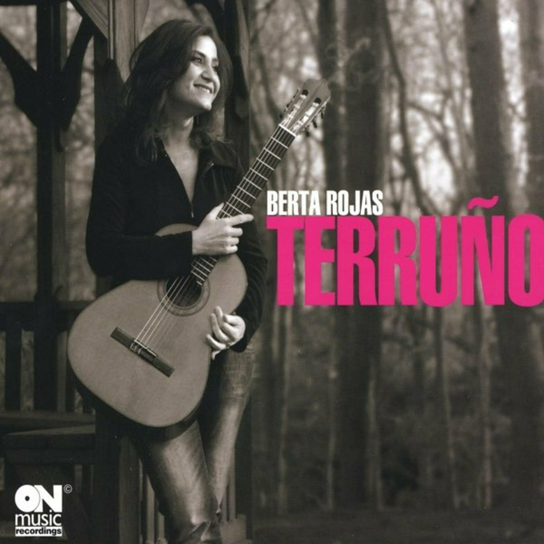 Album cover of Terruno
