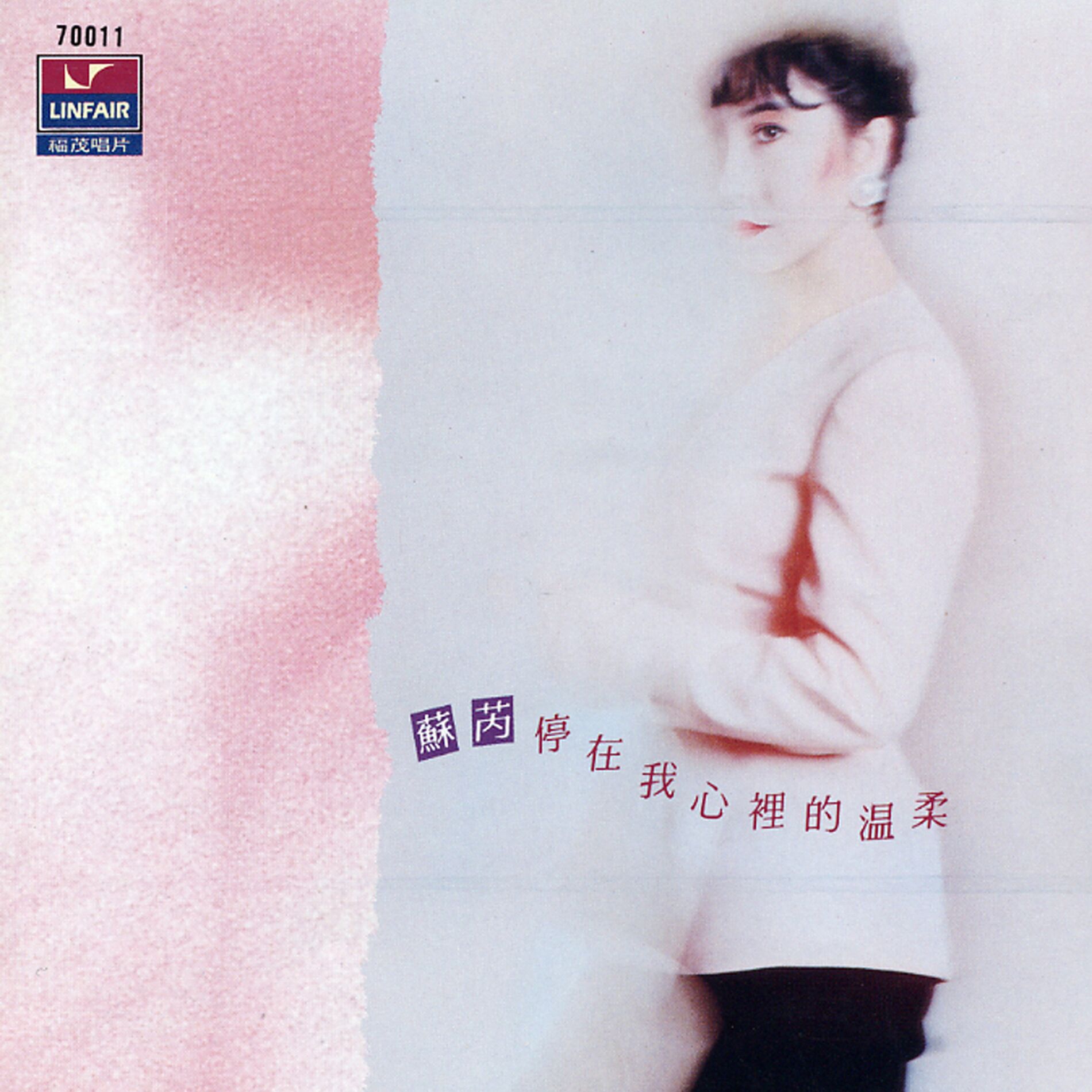 Album cover of 停在我心裡的溫柔