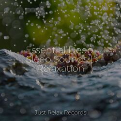 Cover of Essential Deep Sleep Sounds | Relaxation