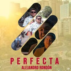 Cover of Perfecta