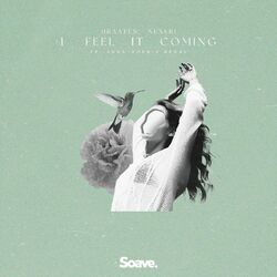music cover