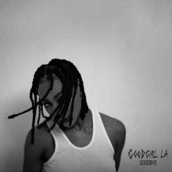 Cover of Goodbye