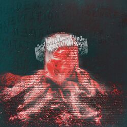 Cover of The Burden of Expectations