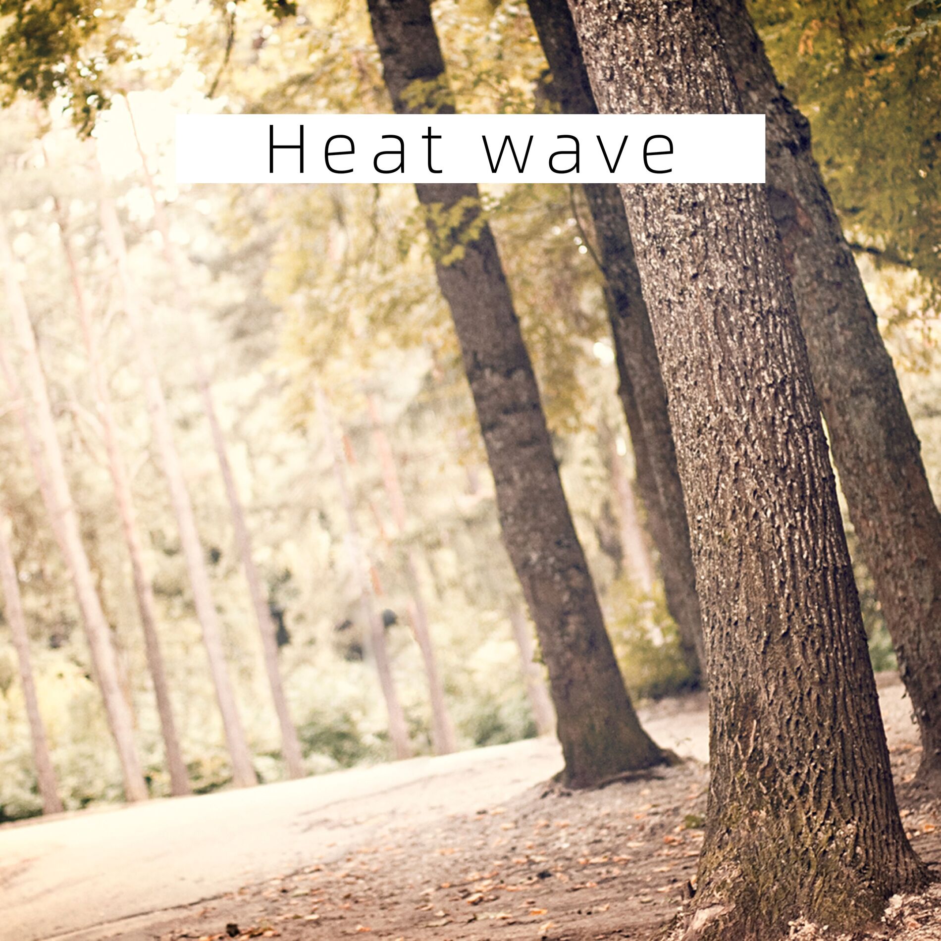 Album cover of Heat wave