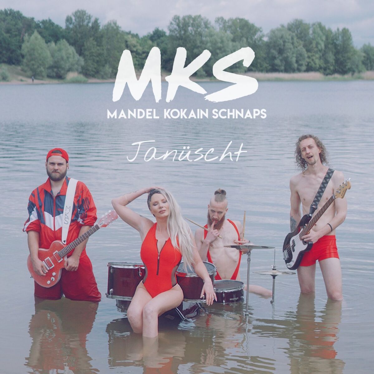 Album cover of Janüscht