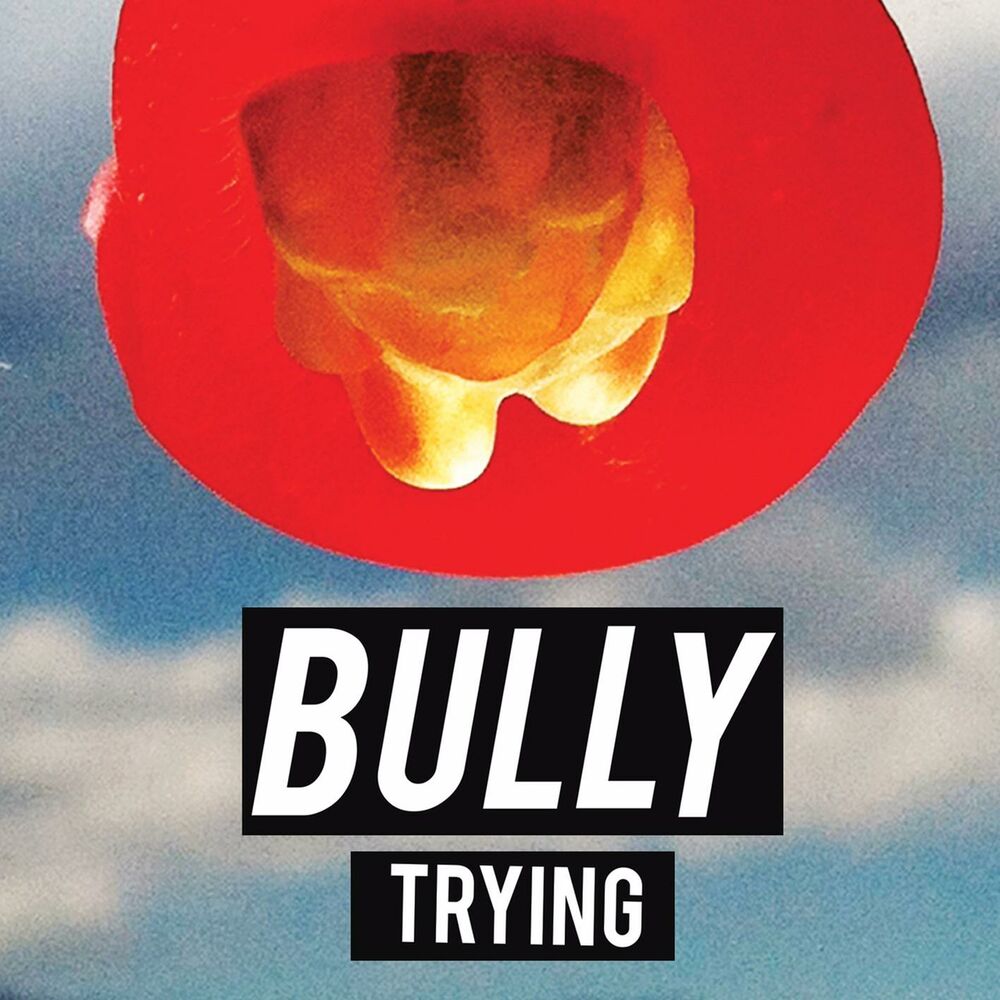 Picture of Trying
