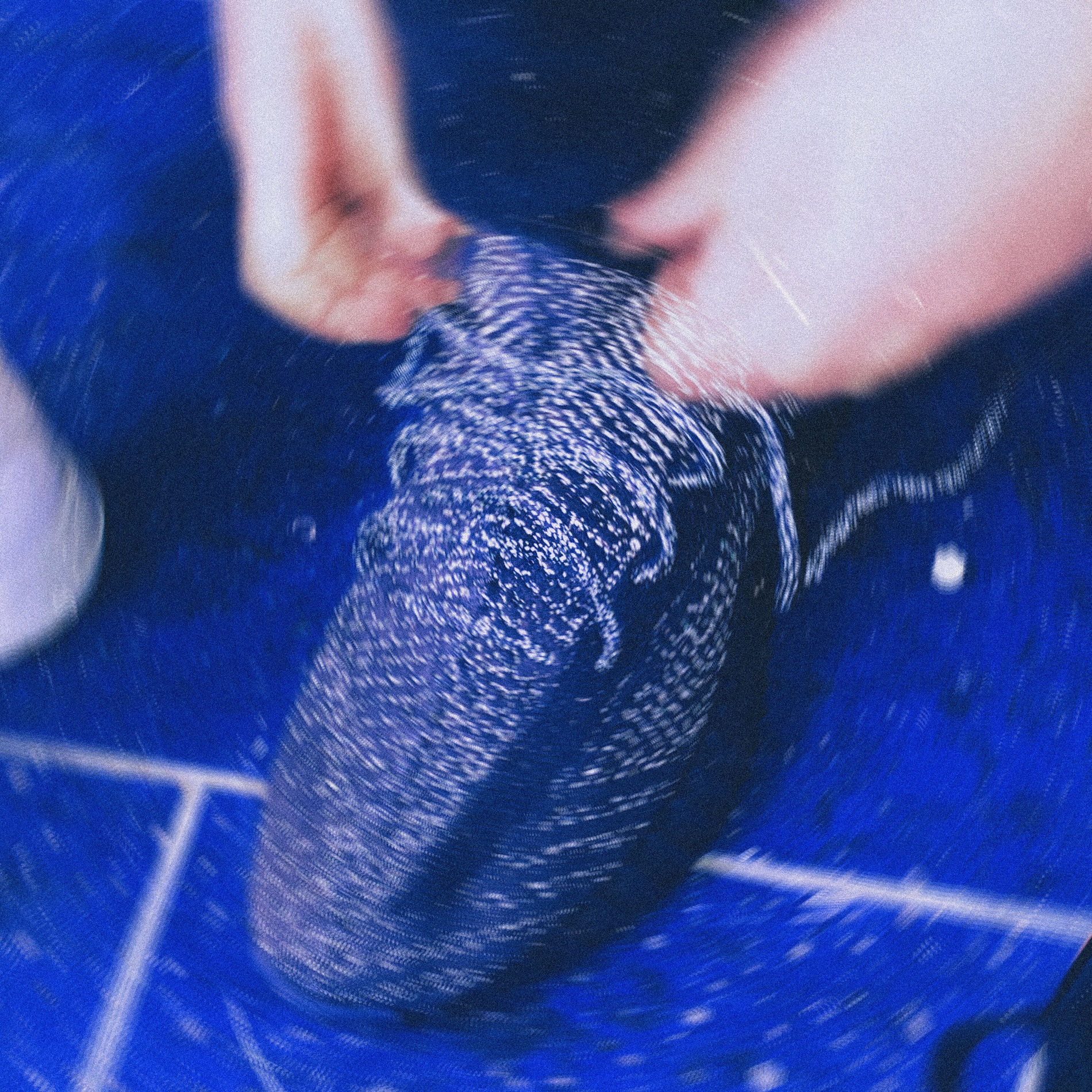 Album cover of Paradoks