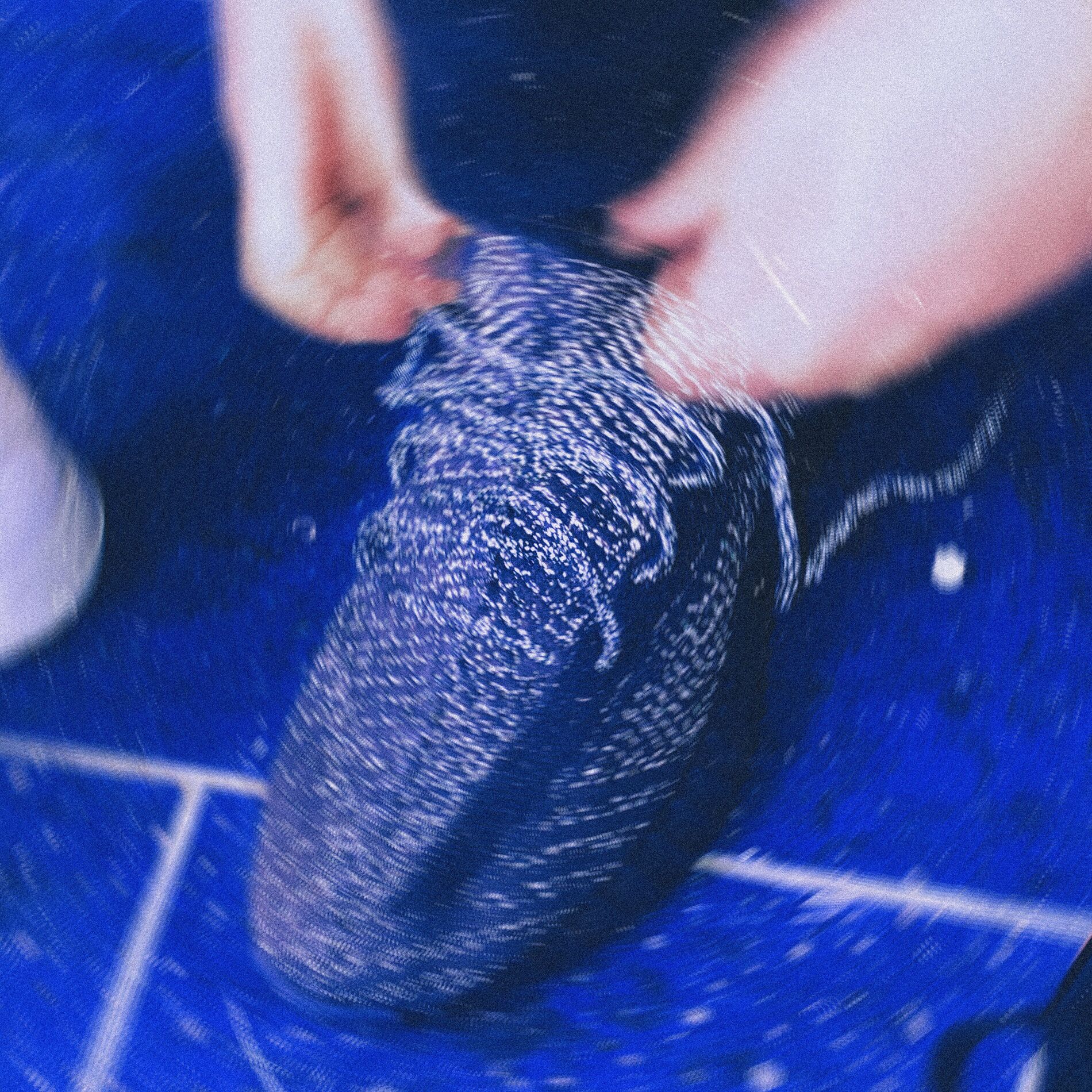 Album cover of Paradoks