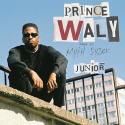 Cover of Junior