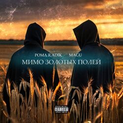 Cover of Мимо золотых полей