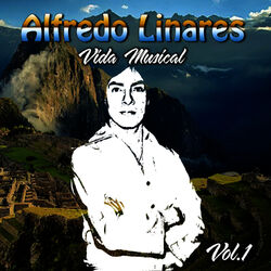 Cover of Vida Musical, Vol. 1