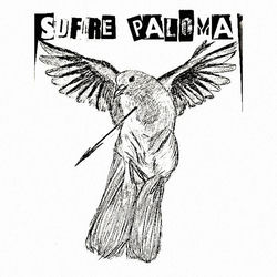 Sufre Paloma