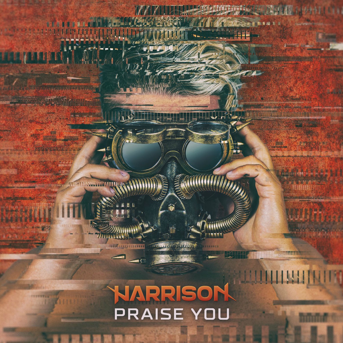 Album cover of Praise You