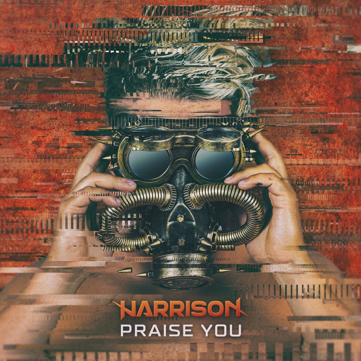 Album cover of Praise You