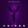 VOICES by Damage album cover