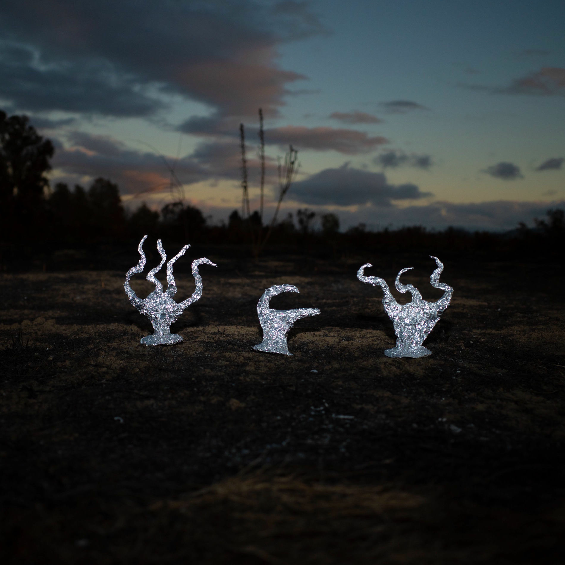 Album cover of Bon Voyage