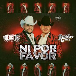 Cover of Ni Por Favor