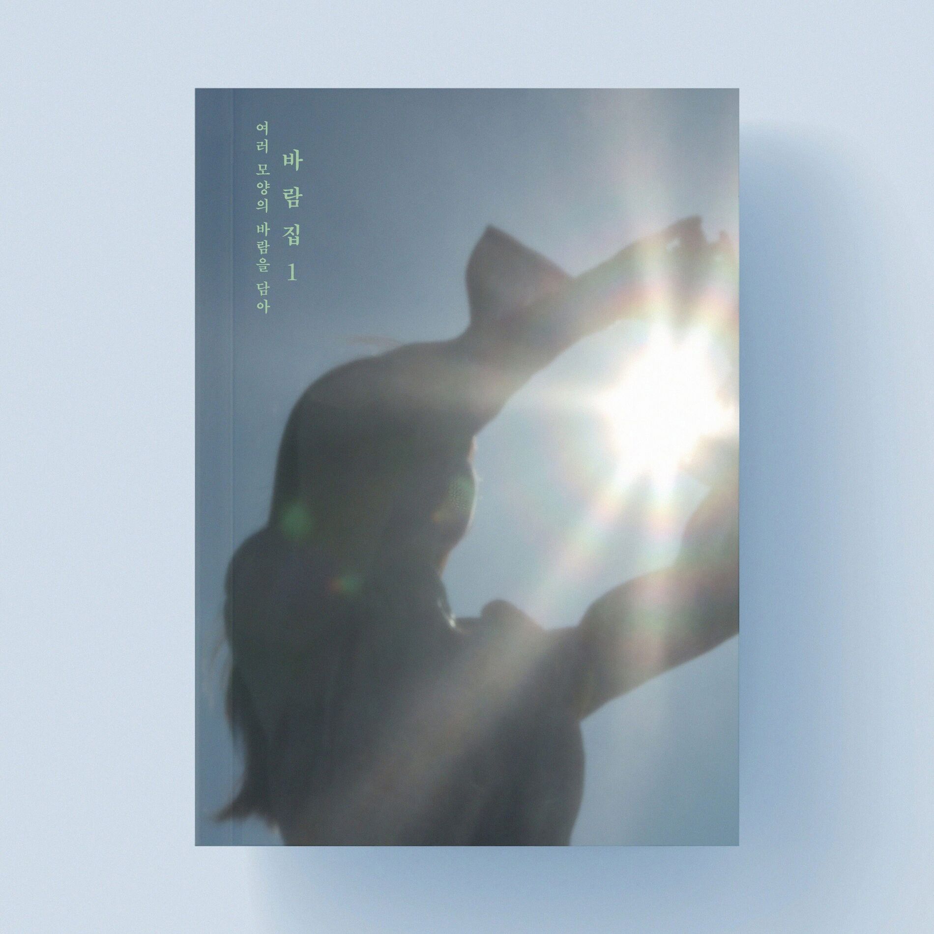 Album cover of Wish.zip (1)