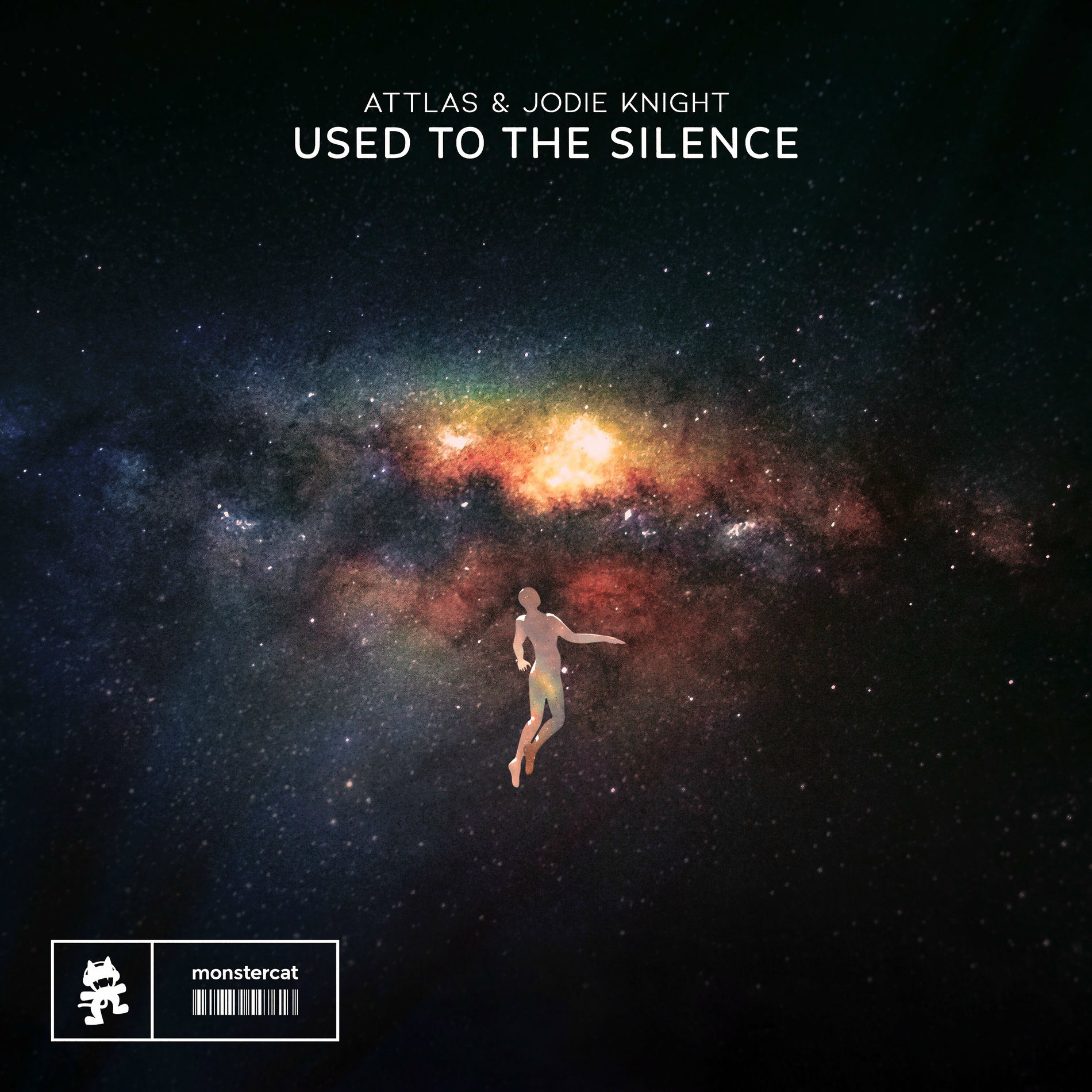 Album cover of Used To The Silence