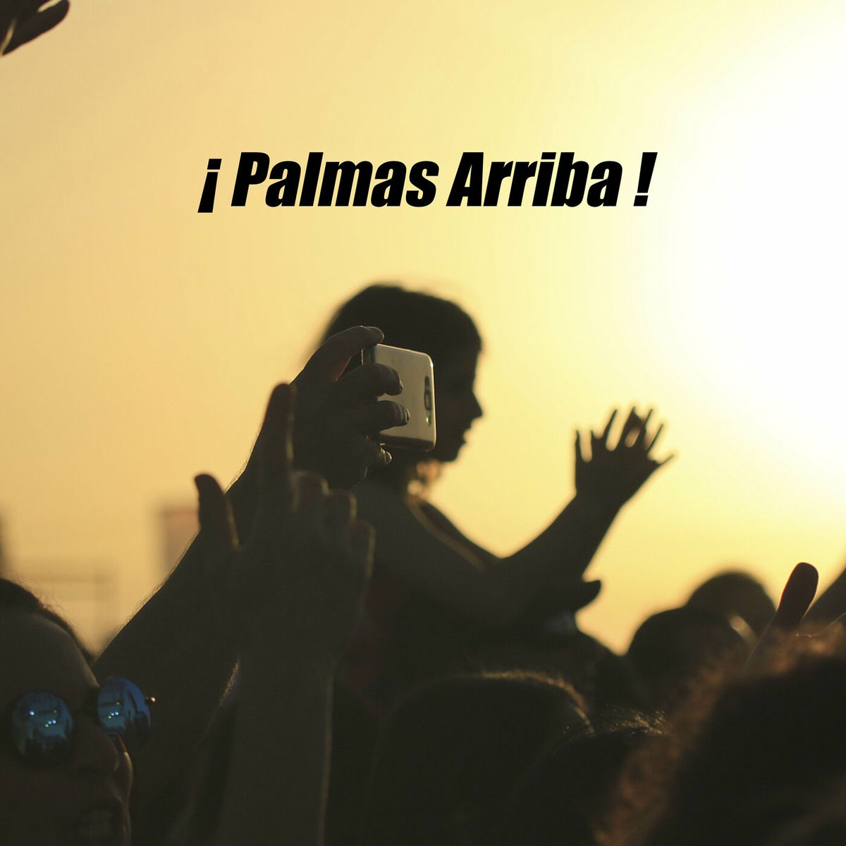 Album cover of ¡Palmas Arriba!