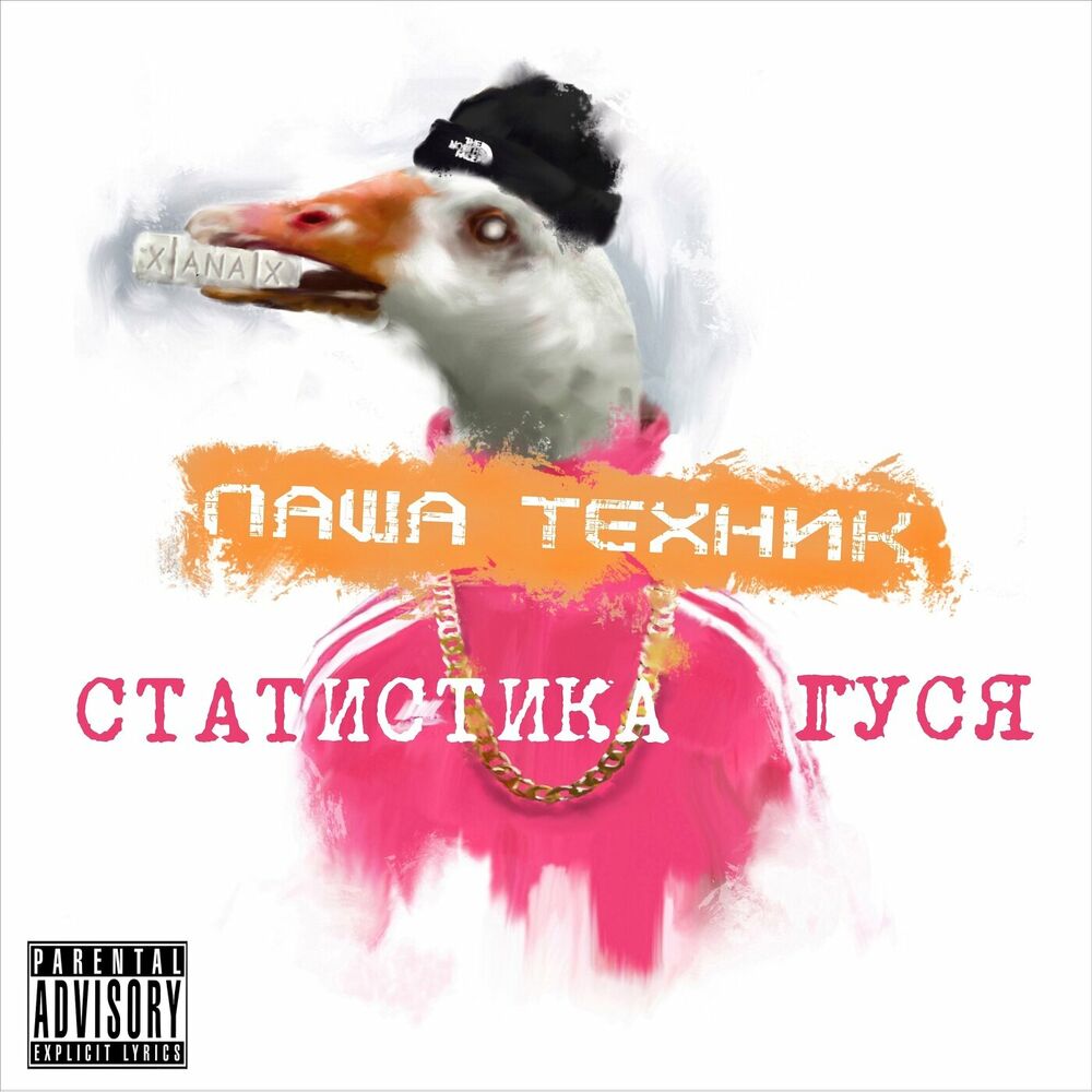 Picture of Статистика гуся, Часть 1