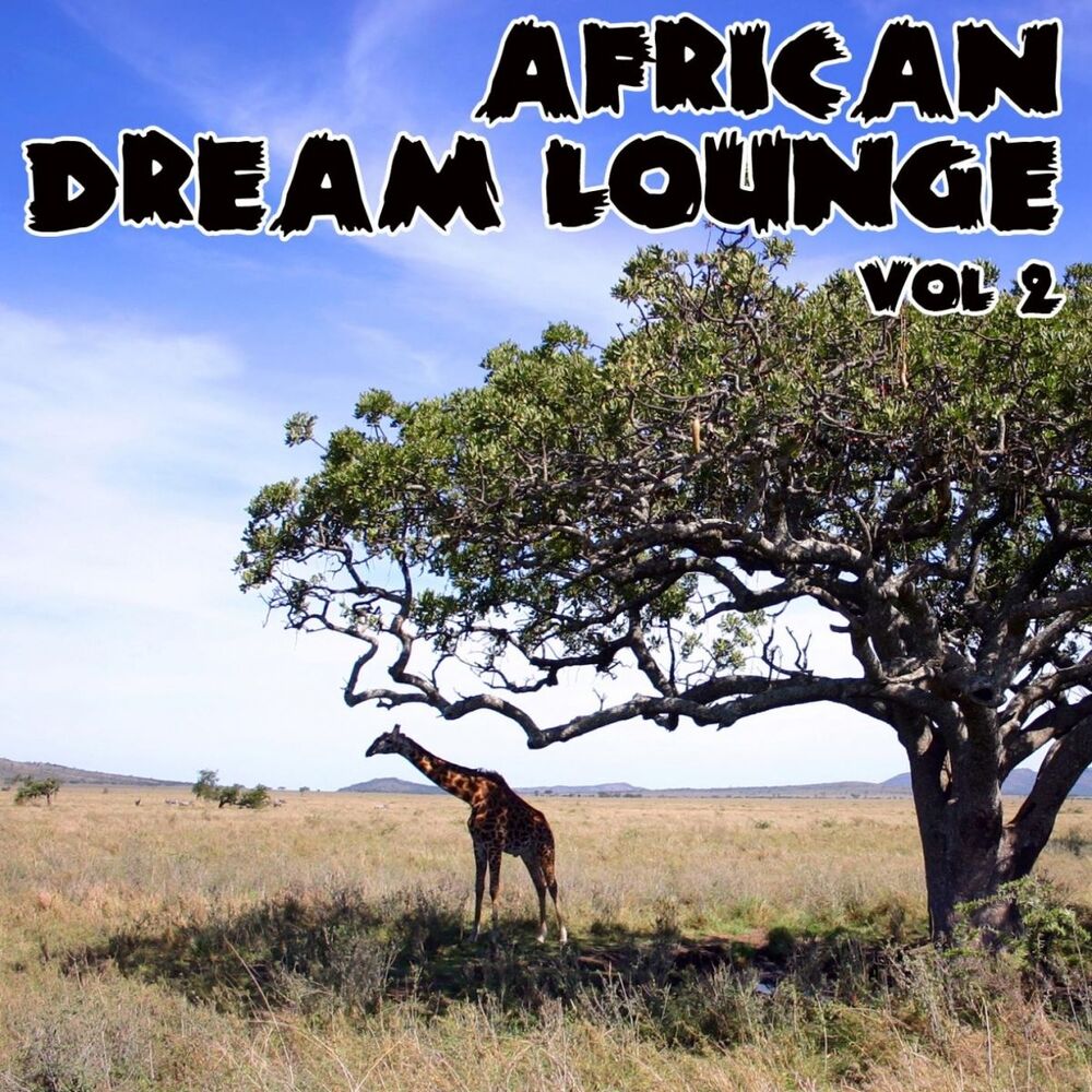 Picture of African Dream Lounge - Volume 2