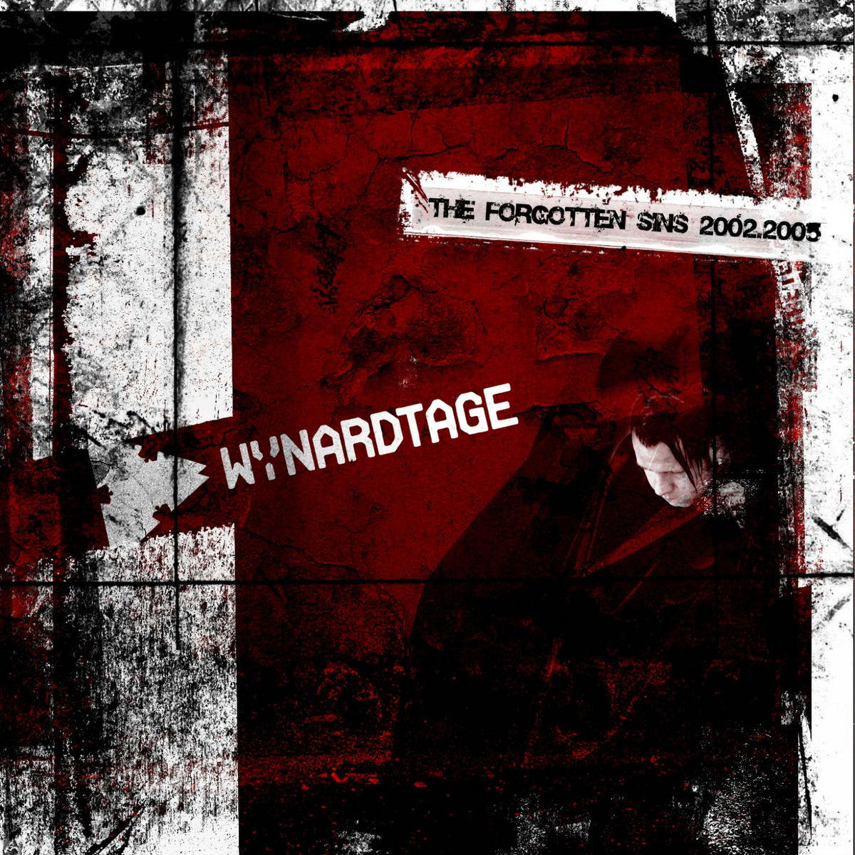 Album cover of The Forgotten Sins 2002-2005