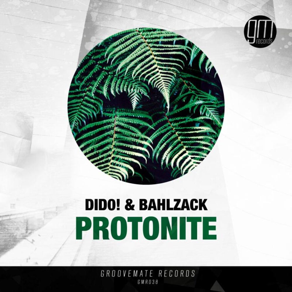 Picture of Protonite