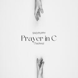 Cover of Prayer in C (Techno)