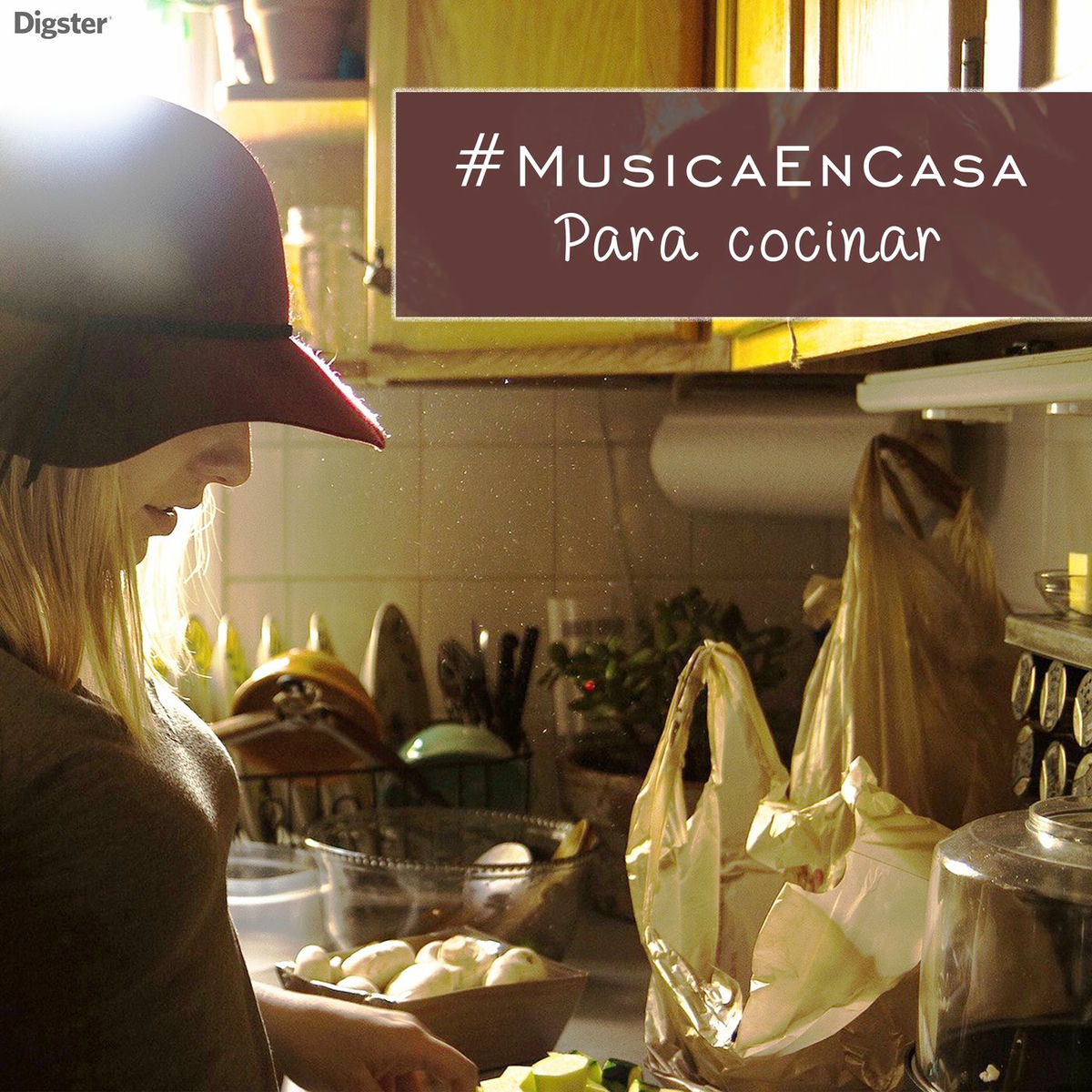 Album cover of El Viejo