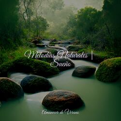 Cover of Melodías Naturales | Sueño
