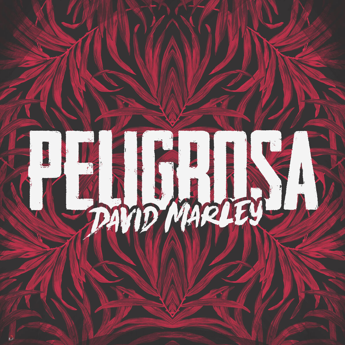 Album cover of Peligrosa