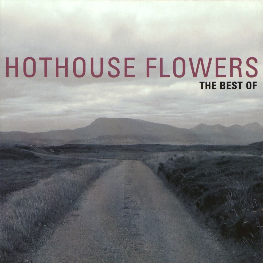 Picture of The Best Of Hothouse Flowers