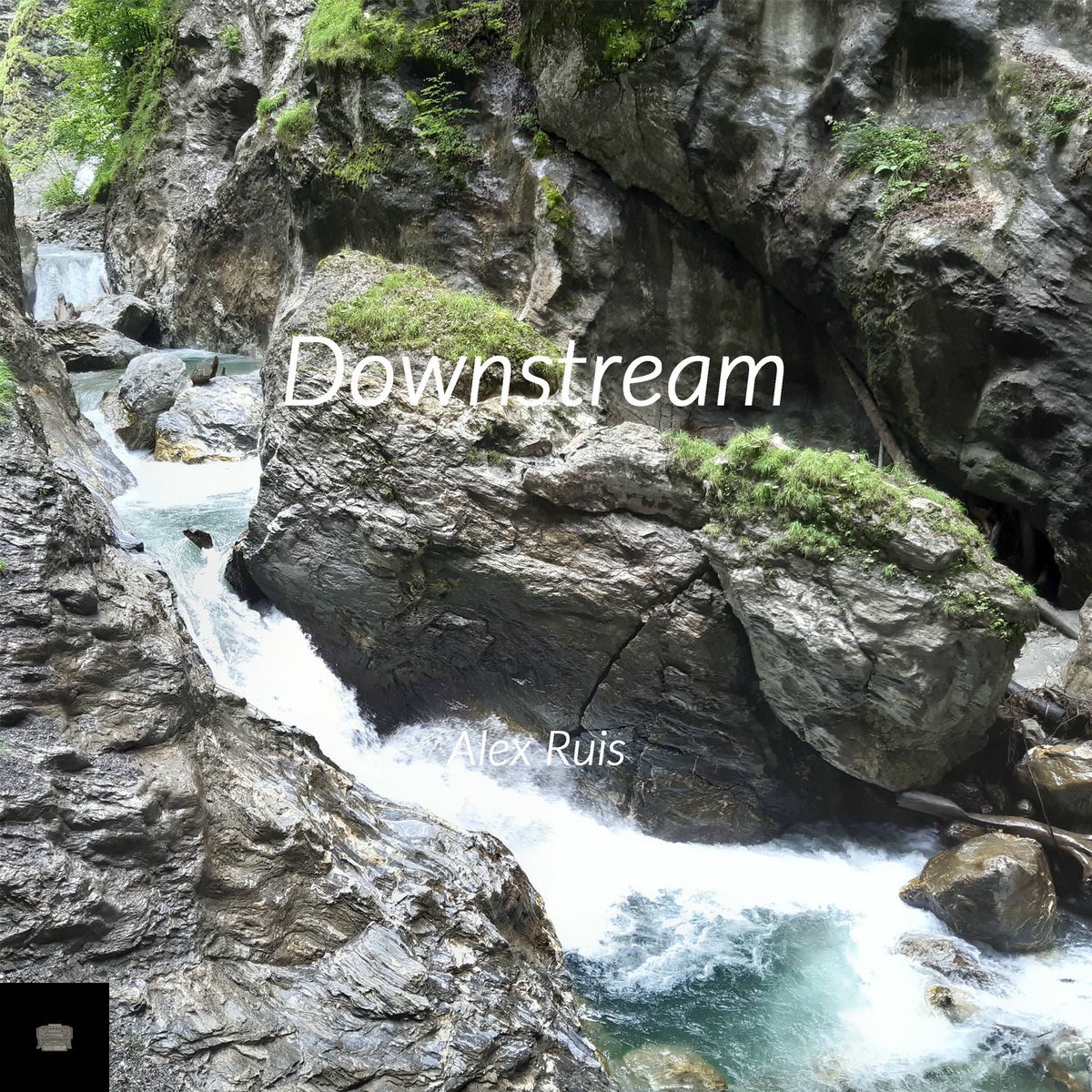 Album cover of Downstream (Organ)