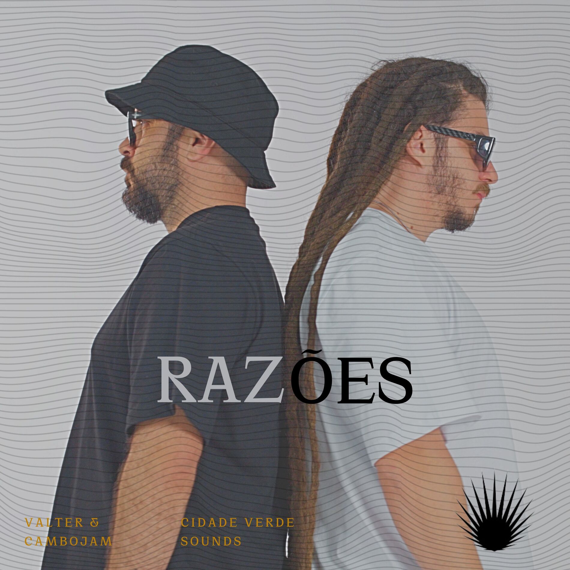 Album cover of Razões