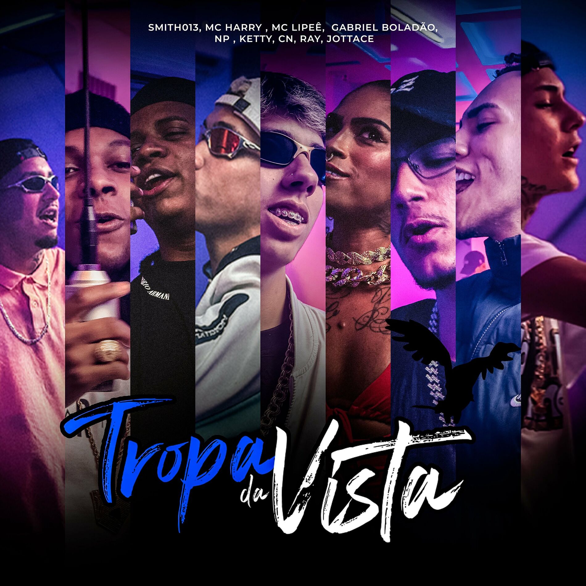 Album cover of Tropa da Vista
