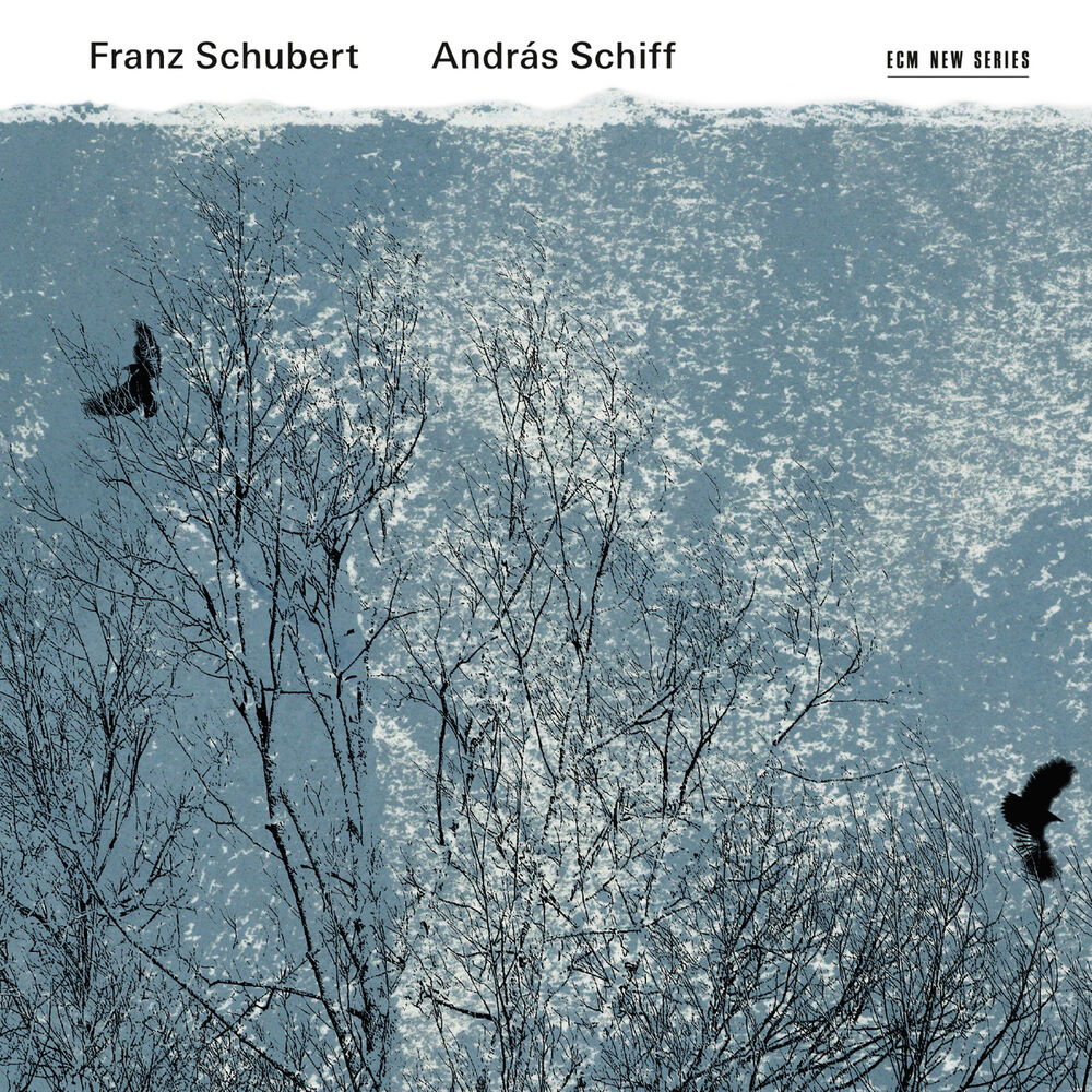 Picture of Schubert: Piano Sonatas D. 894 & D. 960; Impropmptus, D. 935